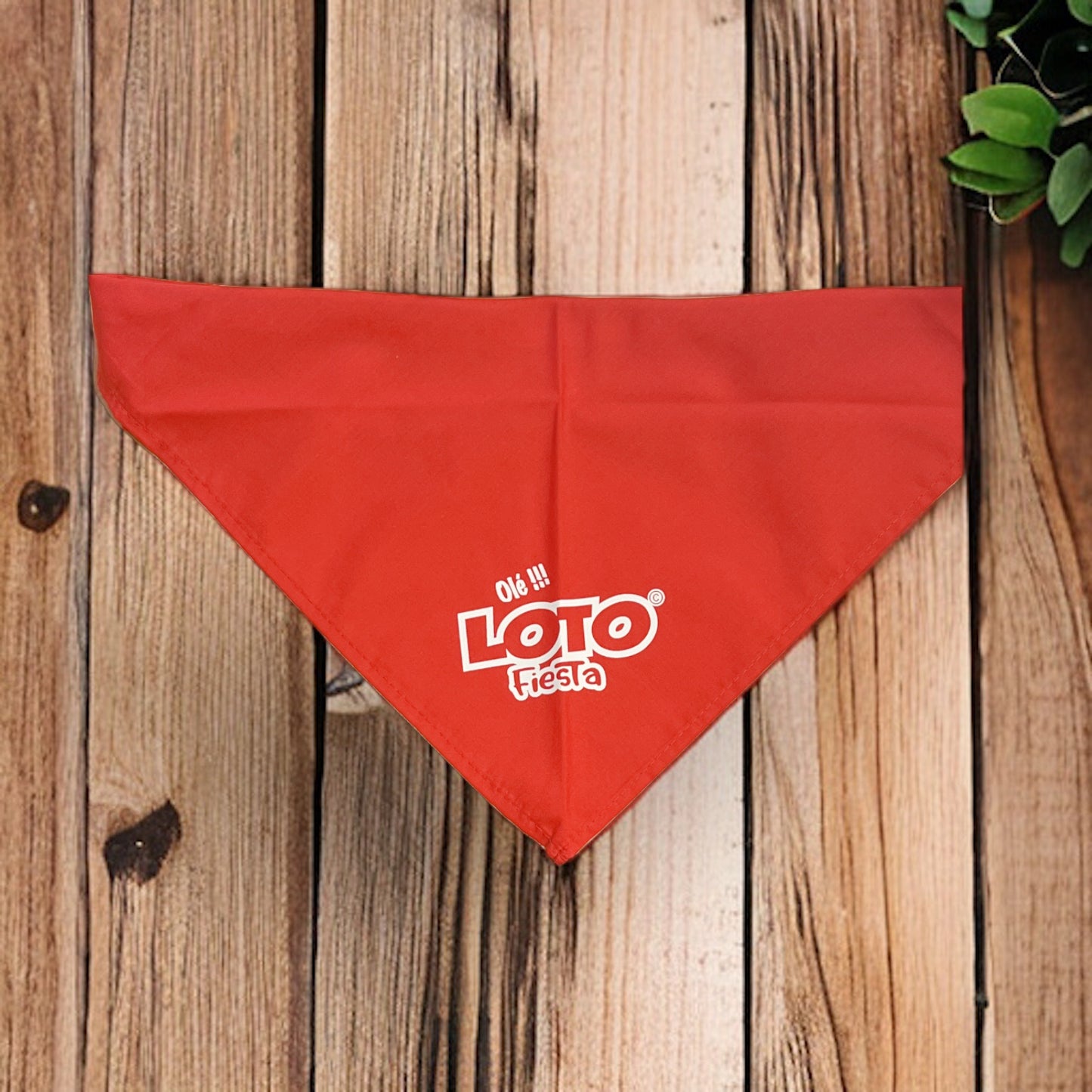 Le foulard Loto Fiesta